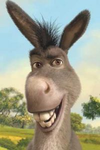 donkey-shrek-200x300 شعر ماشین باری