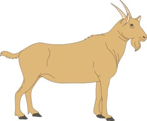 goat01-clipart دو شعر کودکانه از ناصر کشاورز
