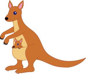 kangaroo-clipart-02-300x259 نی نی ننای گریه ئو - قصه کودکانه آشنایی با مشاغل