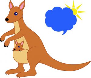 Kangaroo-clipart02-300x259 آشنایی با کانگروها، پرنده های بدون بال - و زندگی آنها