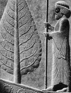 Persepolis03-230x300 نمادهای تخت جمشید را بیشتر بشناسیم - گوپَت، هما و سرو
