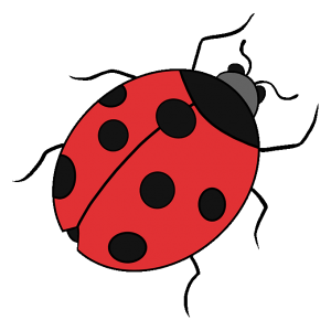 Ladybug-10-300x300 چگونه یک کفشدوزک زیبا نقاشی کنیم - آموزش گام به گام