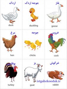 فلش کارت آموزش حیوانات مزرعه