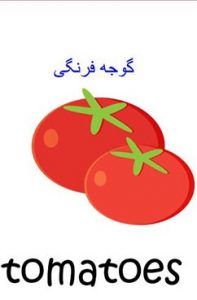 فلش کارت سبزیجات