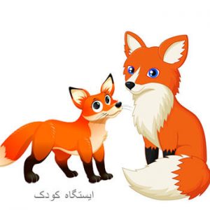 آشنایی با روباه - عکس کارتونی روباه قرمز