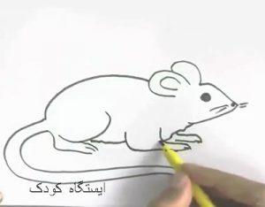 آموزش نقاشی موش