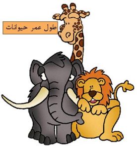 طول عمر حیوانات - عکس کارتونی حیوانات