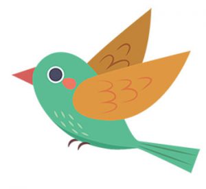 گنجشک و غوزه پنبه - عکس کارتونی پرنده