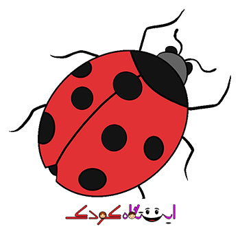 Ladybug-000 صفحه اصلی