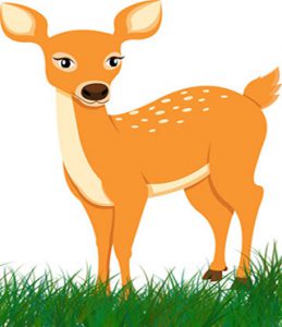 آهوی نقره ای